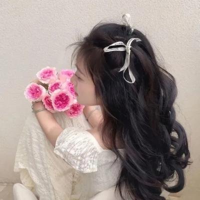 难波金融传·南之帝王